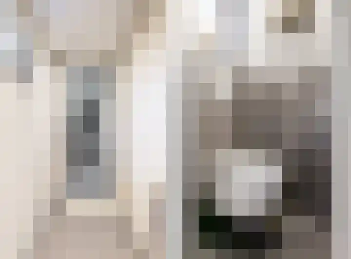 Julianalaan 5 Buren thumbnail 5