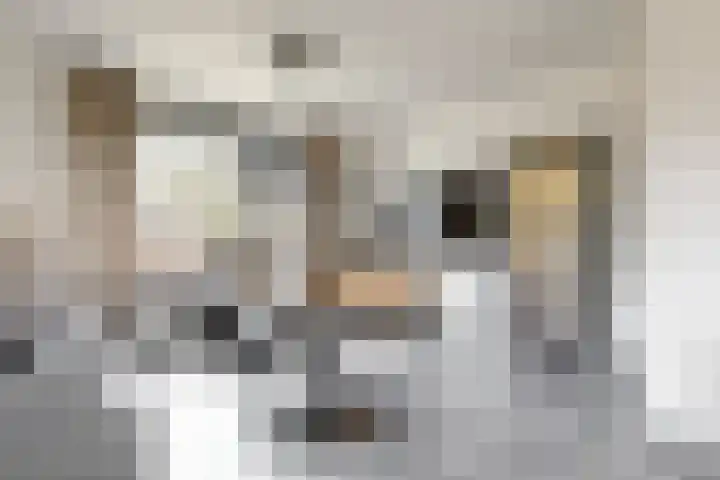 Julianalaan 5 Buren thumbnail 6