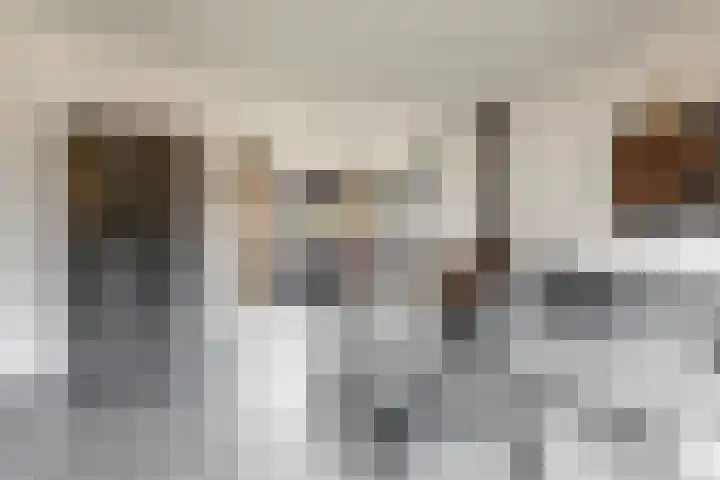 Julianalaan 5 Buren thumbnail 9