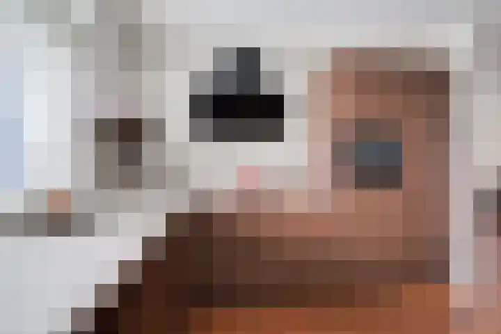 Julianalaan 5 Hengelo (Gld) thumbnail 20