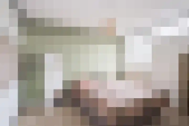 Julianalaan 5 Hengelo (Gld) thumbnail 27