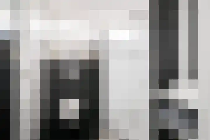 Julianalaan 5 Hengelo (Gld) thumbnail 30