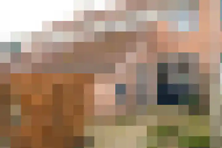 Julianalaan 5 Hengelo (Gld) thumbnail 4