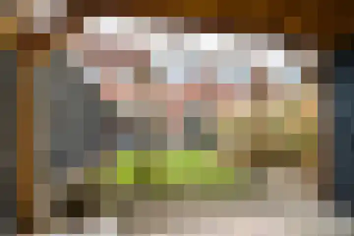 Julianalaan 5 Hengelo (Gld) thumbnail 41