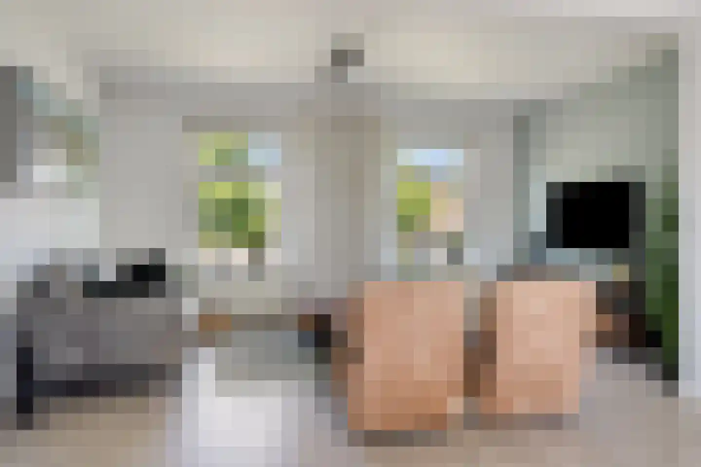 Julianalaan 5 I Hengelo thumbnail 10