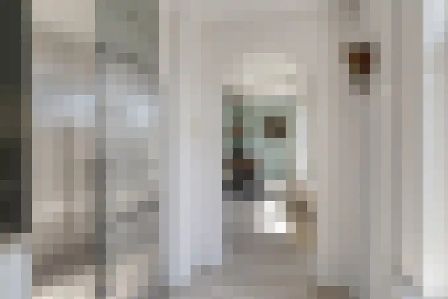 Julianalaan 5 I Hengelo thumbnail 15