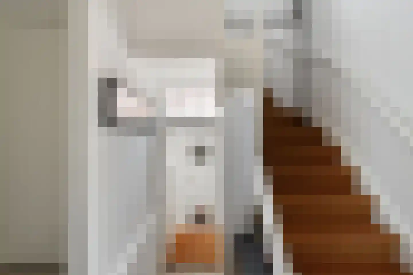 Julianalaan 5 I Hengelo thumbnail 18
