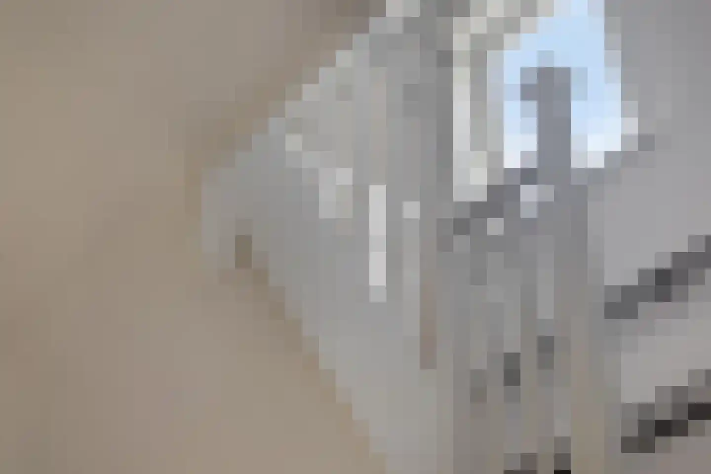 Julianalaan 5 I Hengelo thumbnail 19