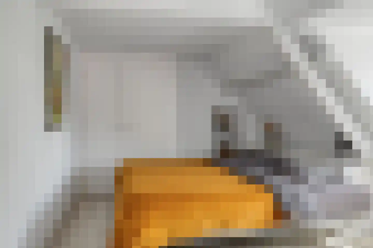 Julianalaan 5 I Hengelo thumbnail 22