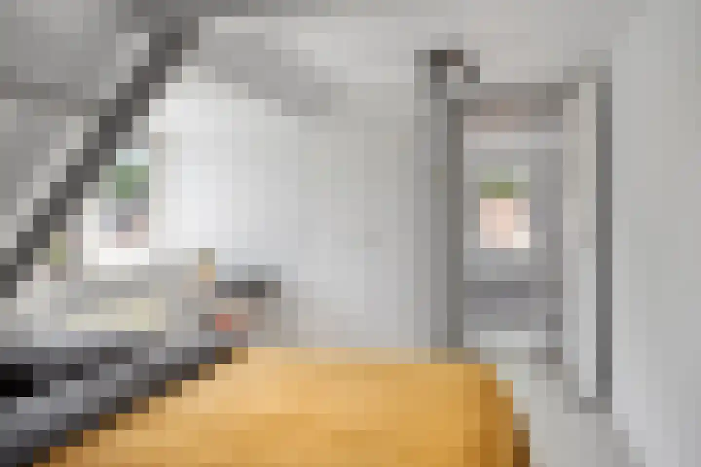 Julianalaan 5 I Hengelo thumbnail 23