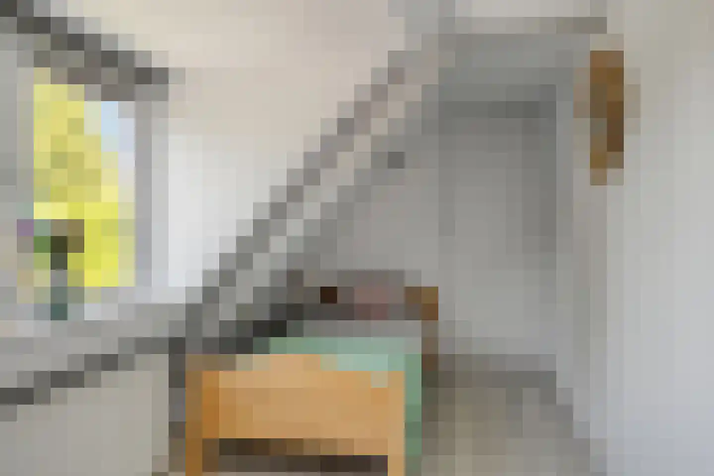 Julianalaan 5 I Hengelo thumbnail 24