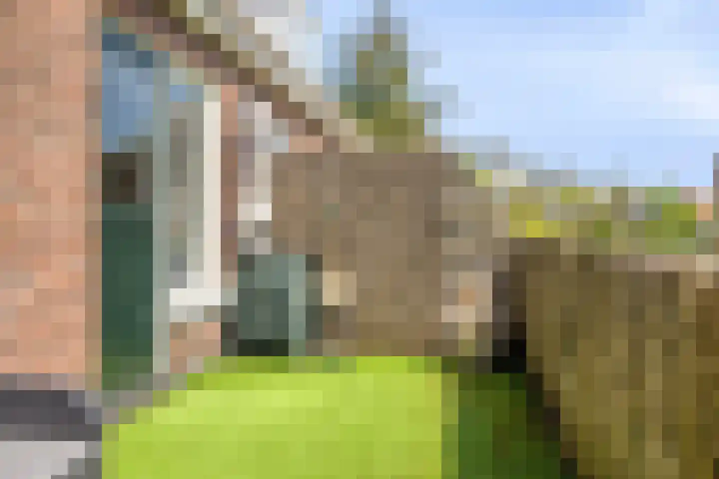Julianalaan 5 I Hengelo thumbnail 26