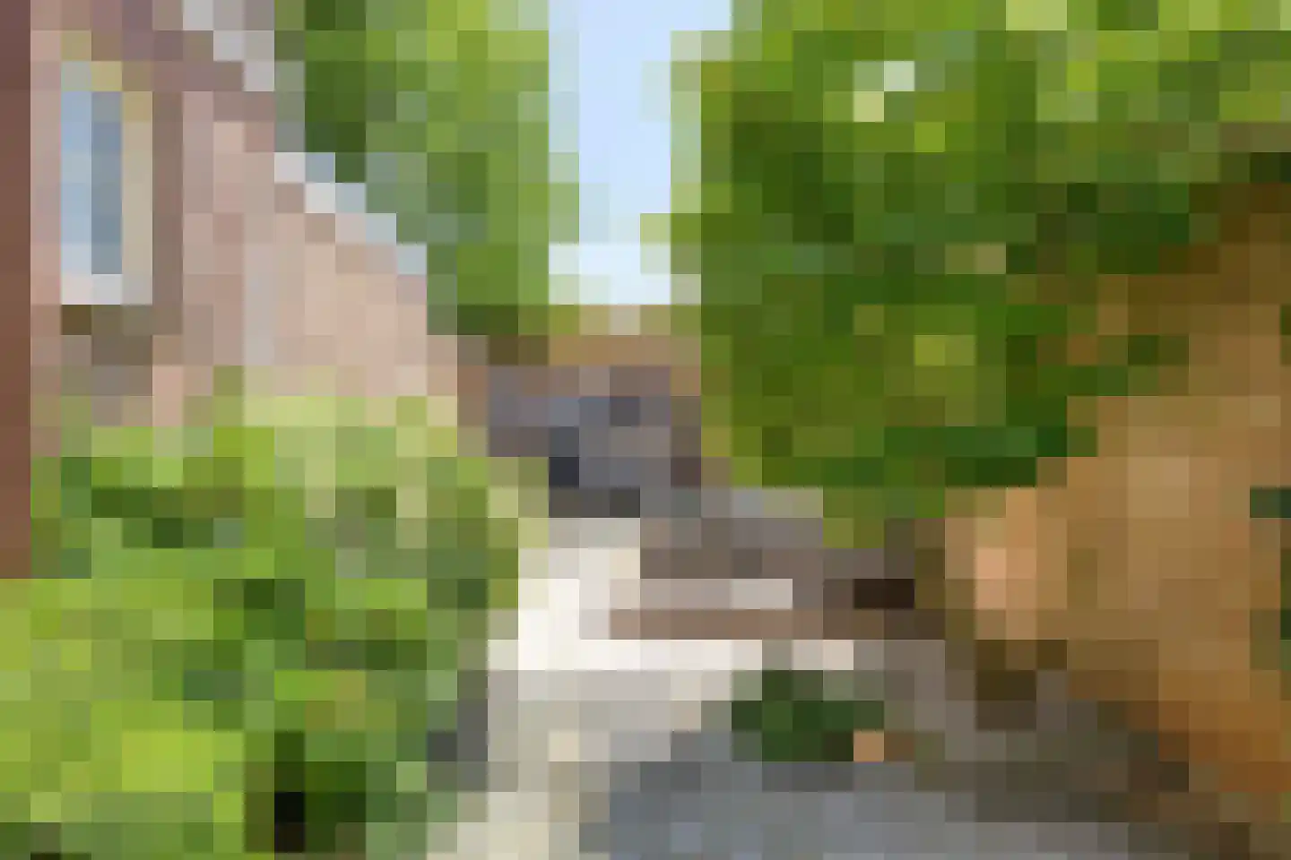 Julianalaan 5 I Hengelo thumbnail 27