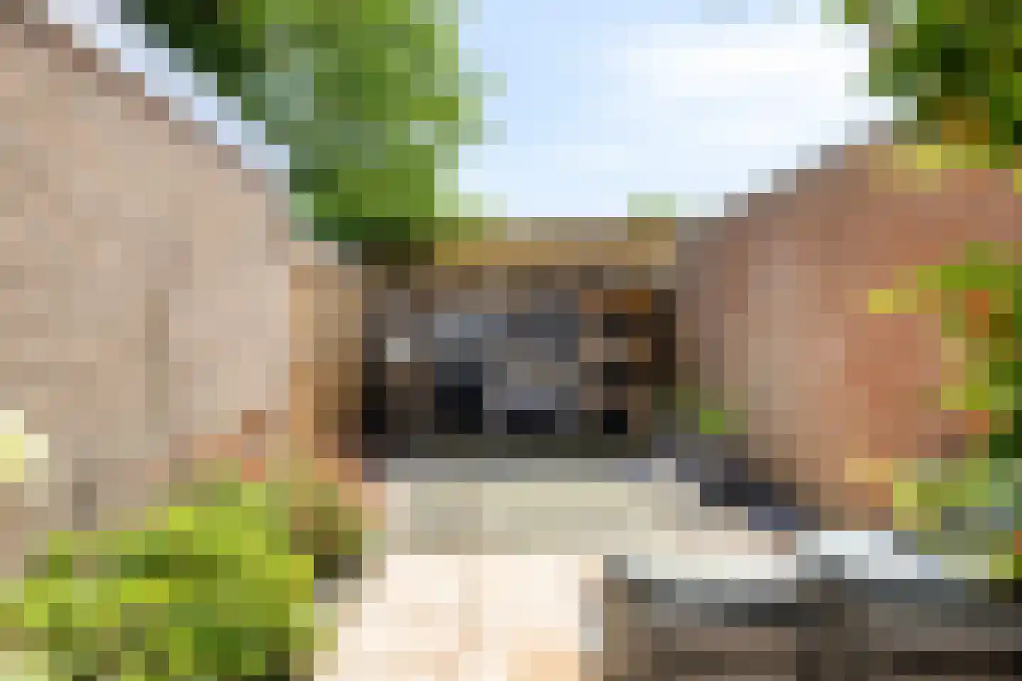 Julianalaan 5 I Hengelo thumbnail 28