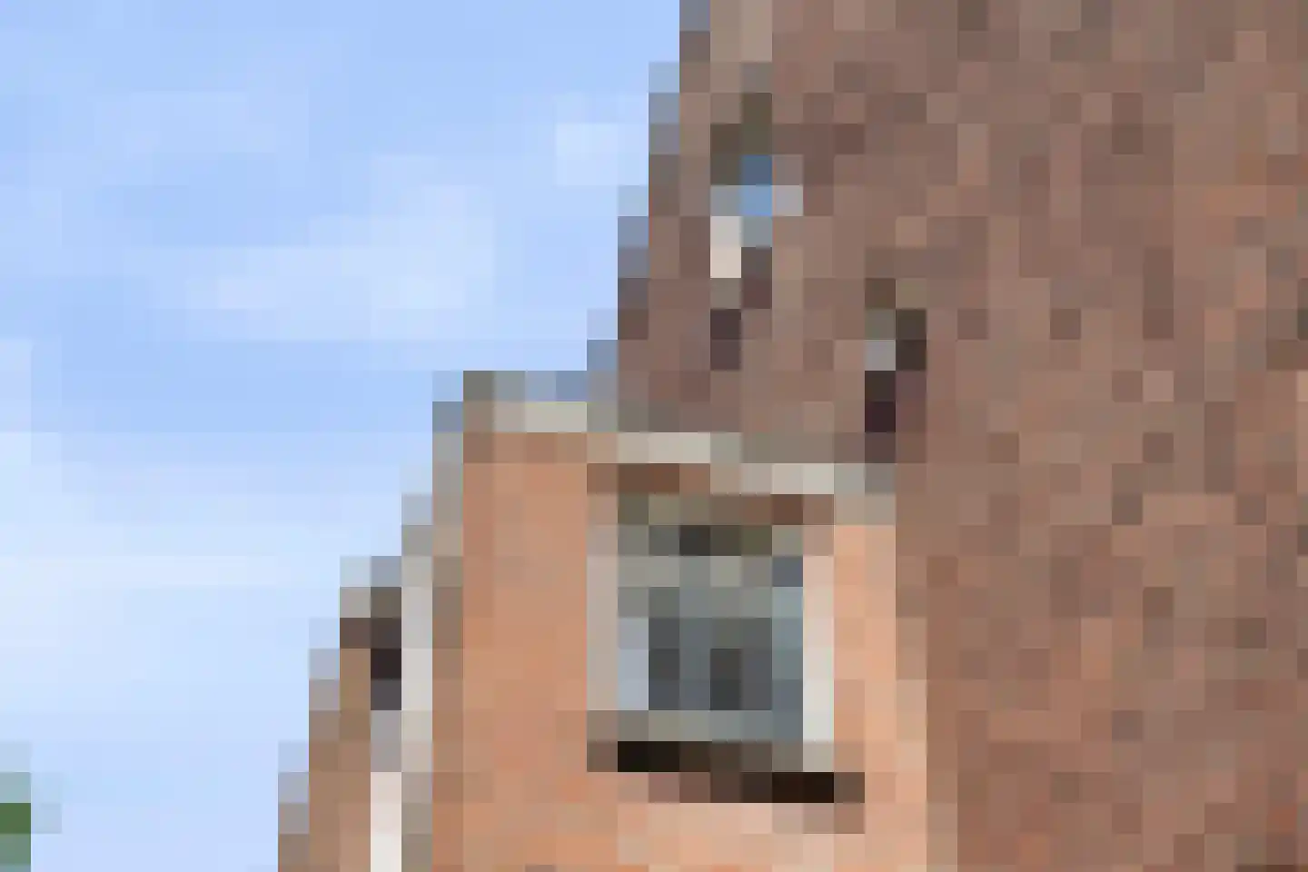 Julianalaan 5 I Hengelo thumbnail 30