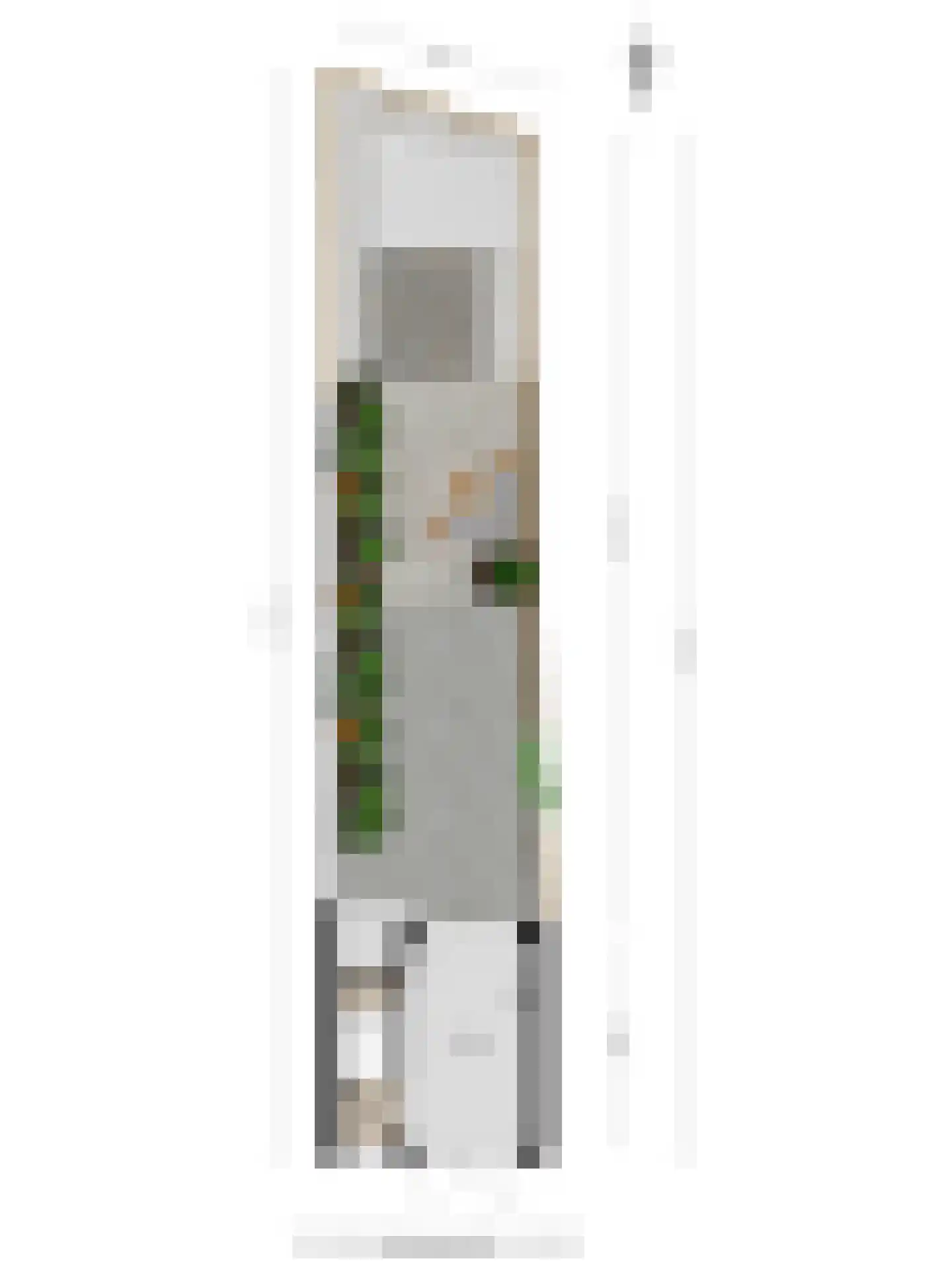 Julianalaan 5 I Hengelo thumbnail 39