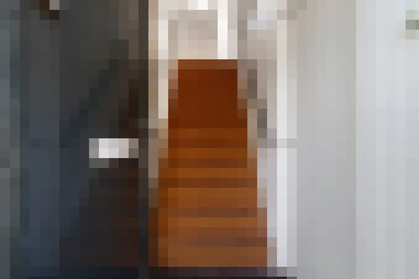 Julianalaan 5 I Hengelo thumbnail 7