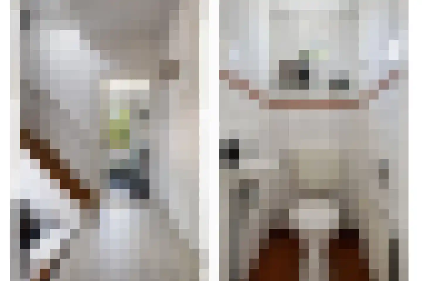 Julianalaan 5 I Hengelo thumbnail 8