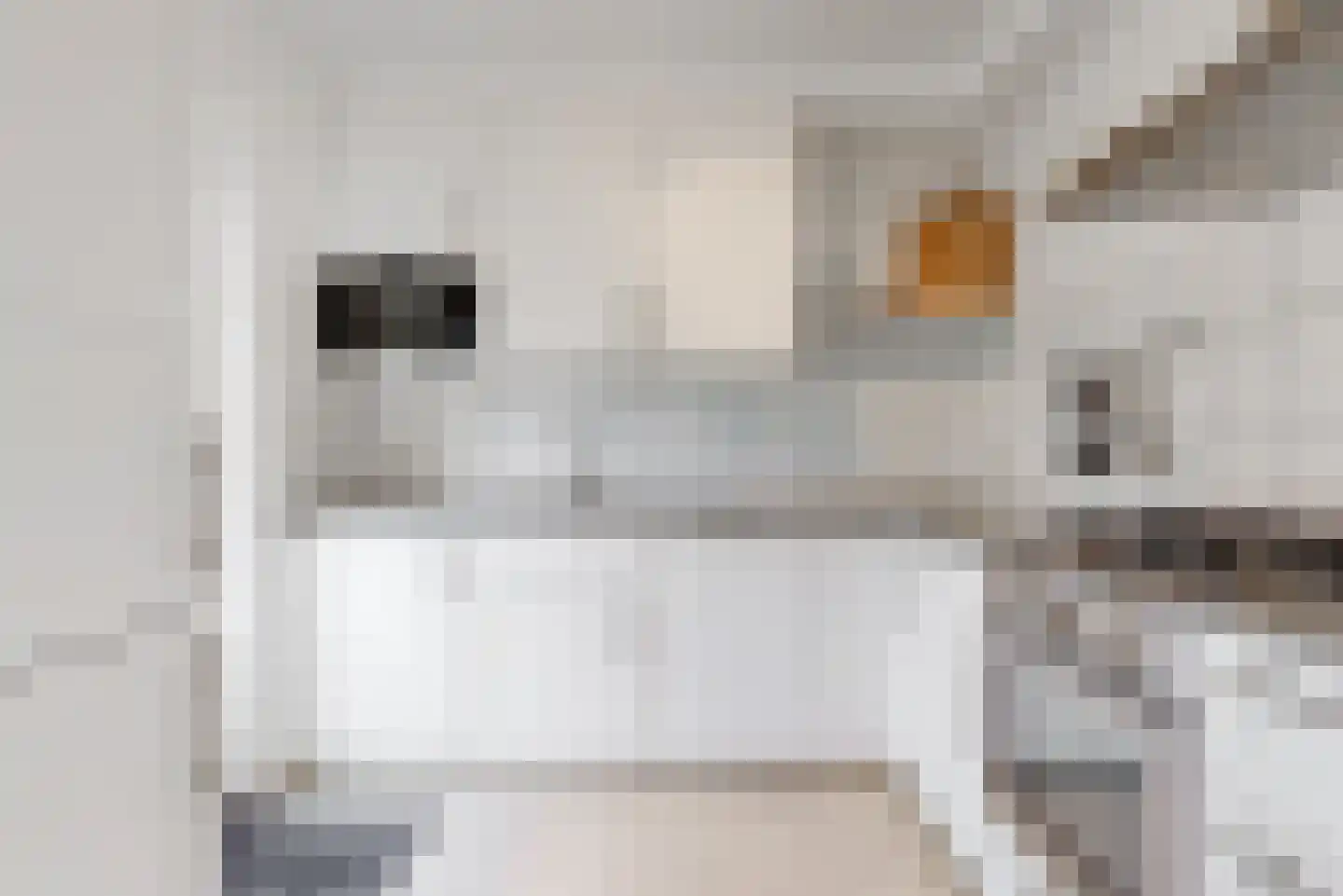 Julianalaan 5 Nieuwkoop thumbnail 11