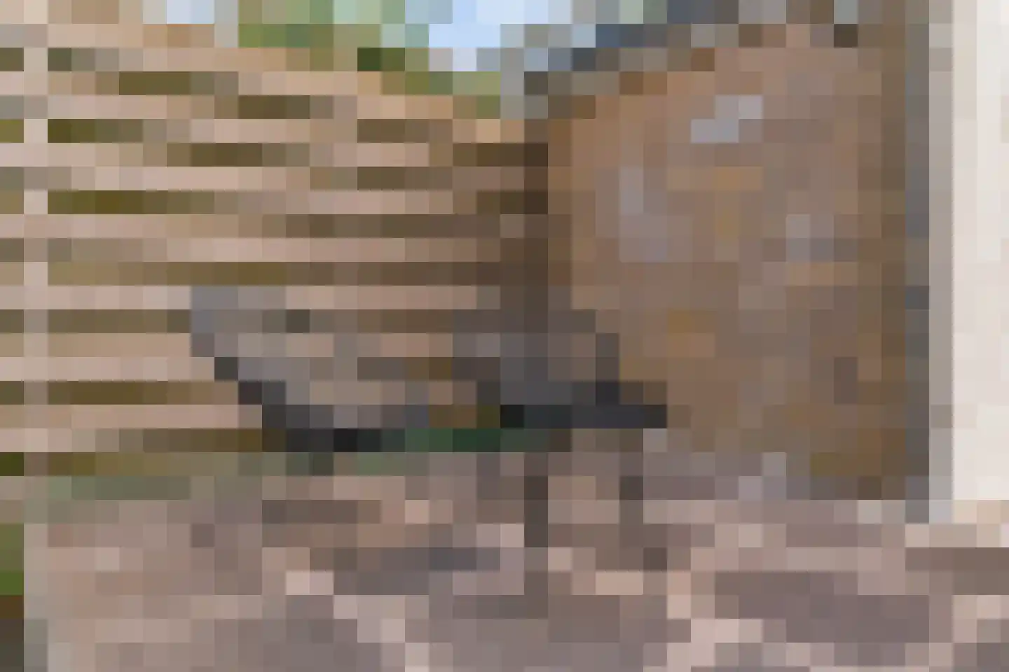 Julianalaan 5 Nieuwkoop thumbnail 30