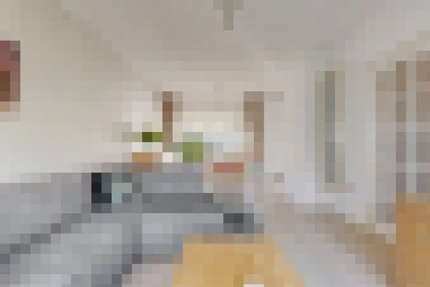 Julianalaan 5 Nieuwkoop thumbnail 7