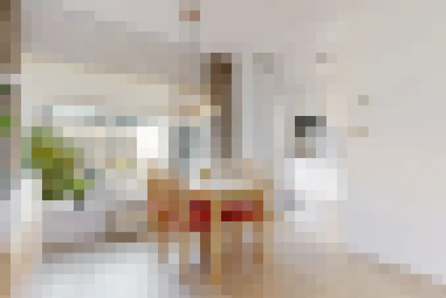 Julianalaan 5 Nieuwkoop thumbnail 8