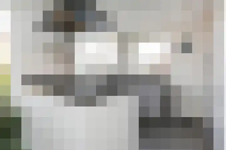 Julianalaan 5 Pijnacker thumbnail 11
