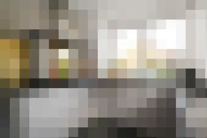 Julianalaan 5 Pijnacker thumbnail 12