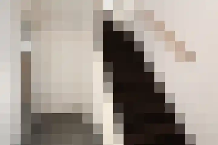 Julianalaan 5 Pijnacker thumbnail 15