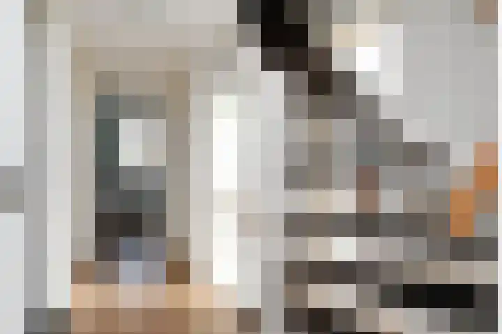 Julianalaan 5 Pijnacker thumbnail 16