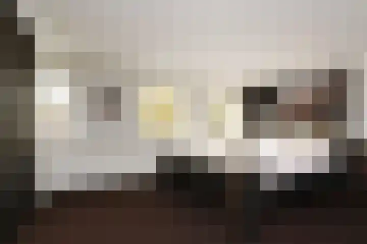 Julianalaan 5 Pijnacker thumbnail 17