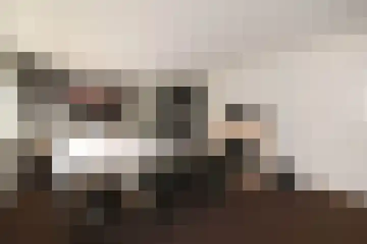 Julianalaan 5 Pijnacker thumbnail 18