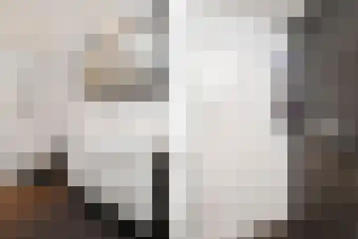 Julianalaan 5 Pijnacker thumbnail 24