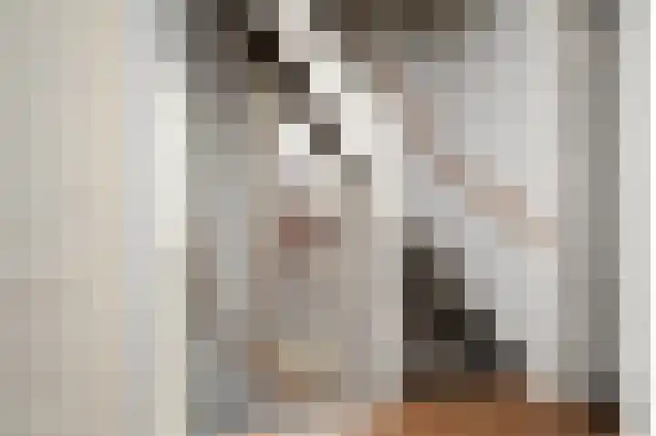 Julianalaan 5 Pijnacker thumbnail 25