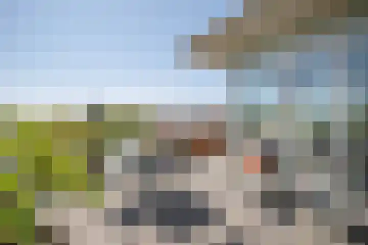 Julianalaan 5 Pijnacker thumbnail 26