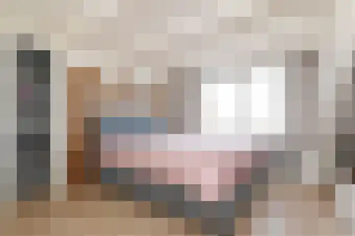 Julianalaan 5 Pijnacker thumbnail 29