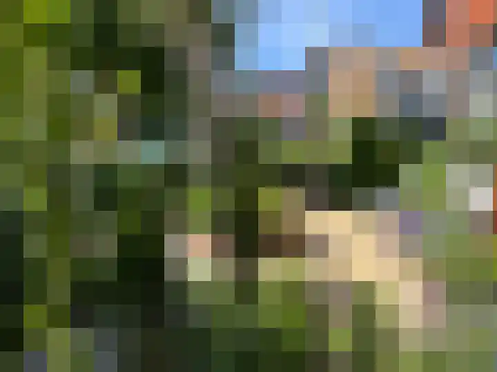 Julianalaan 5 Pijnacker thumbnail 32