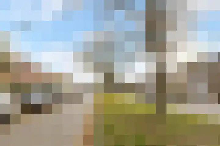 Julianalaan 5 Pijnacker thumbnail 34