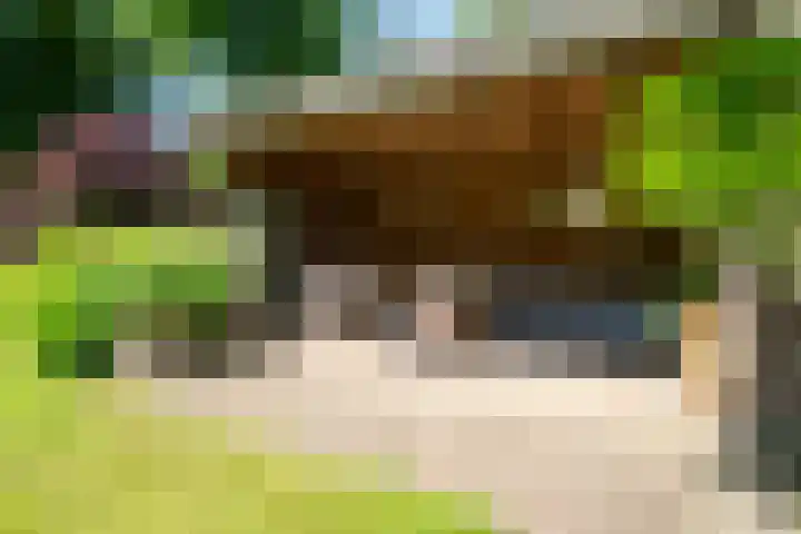Julianalaan 5 Pijnacker thumbnail 4