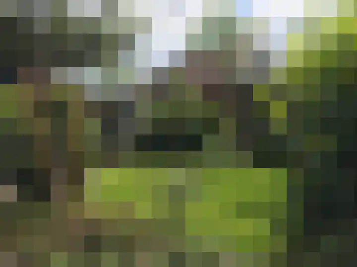 Julianalaan 5 Pijnacker thumbnail 4