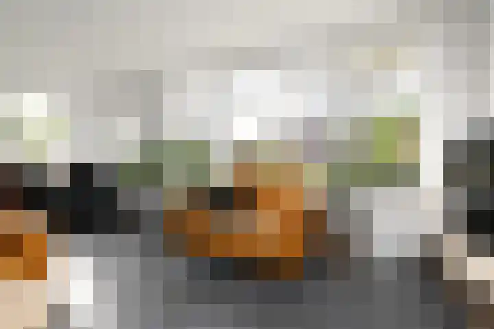 Julianalaan 5 Pijnacker thumbnail 8