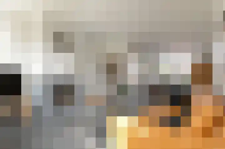 Julianalaan 5 Pijnacker thumbnail 9