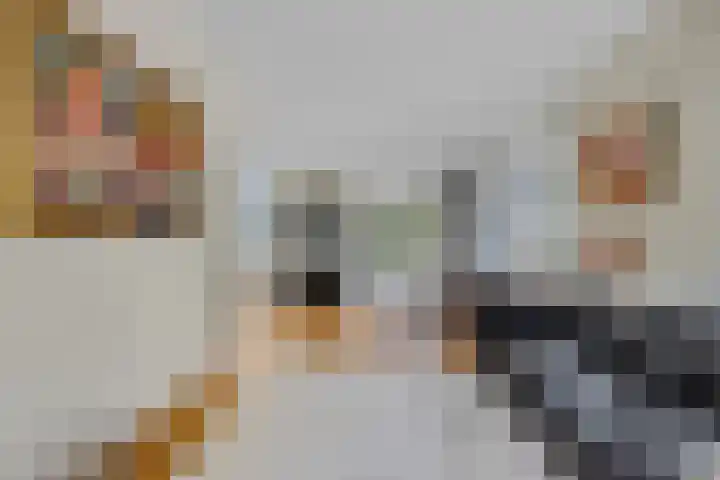 Julianalaan 5 Tiel thumbnail 10