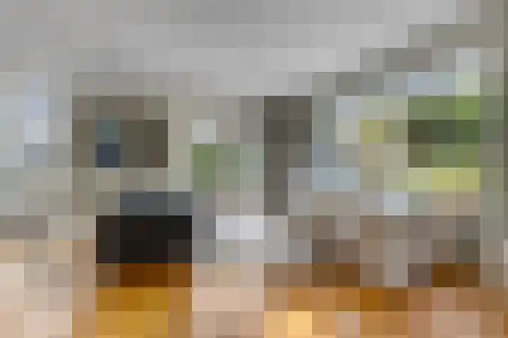 Julianalaan 5 Tiel thumbnail 11