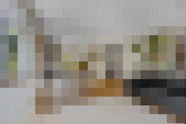 Julianalaan 5 Tiel thumbnail 12