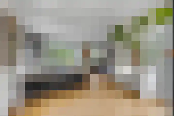 Julianalaan 5 Tiel thumbnail 14