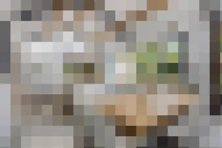 Julianalaan 5 Tiel thumbnail 15