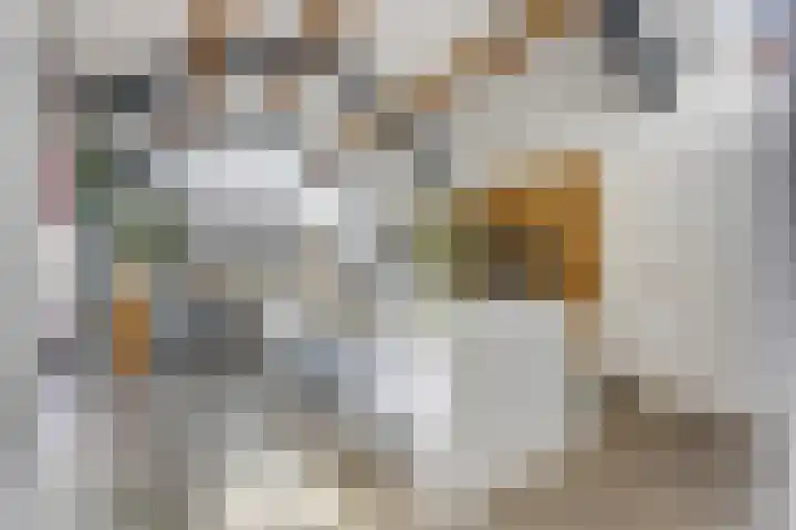 Julianalaan 5 Tiel thumbnail 16