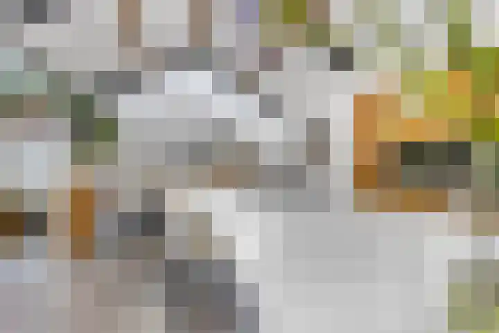 Julianalaan 5 Tiel thumbnail 17