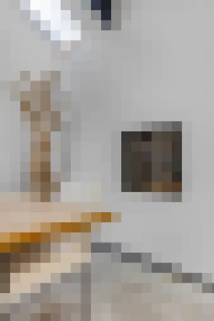 Julianalaan 5 Tiel thumbnail 18
